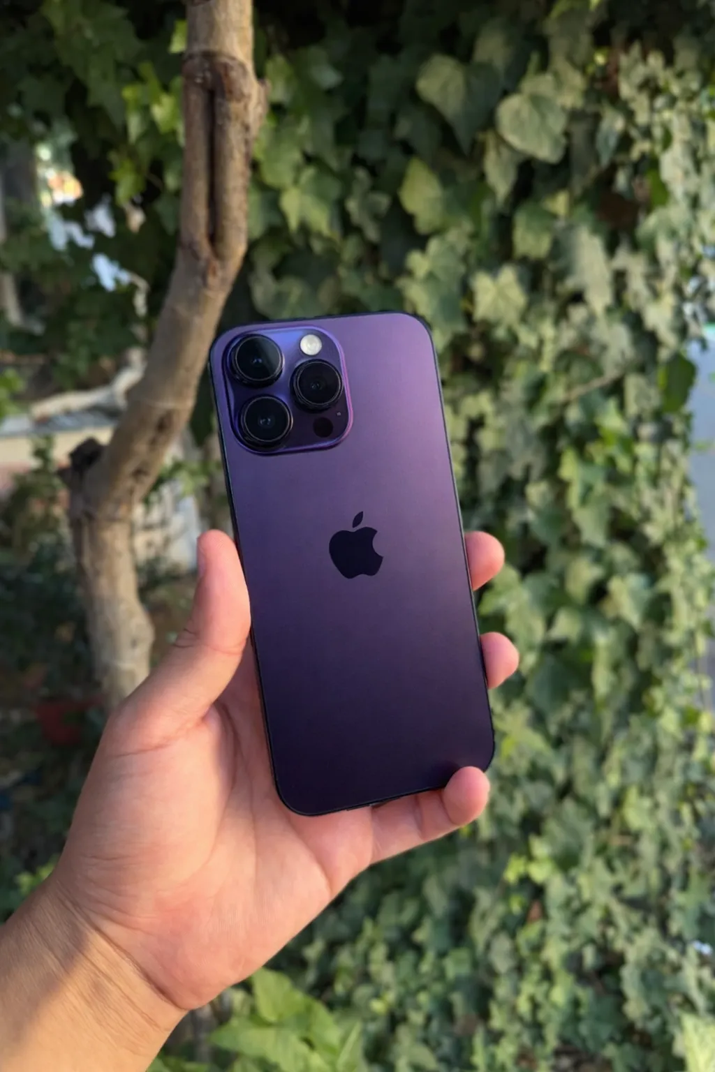 iPhone 14 Pro Morado Oscuro