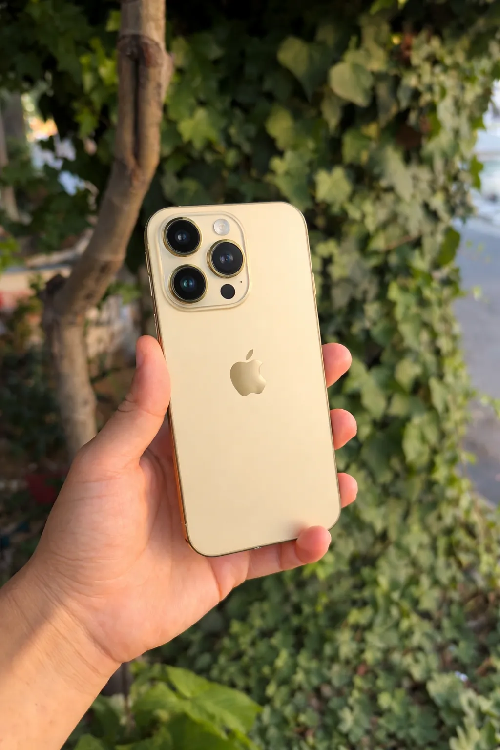 iPhone 14 Pro Dorado